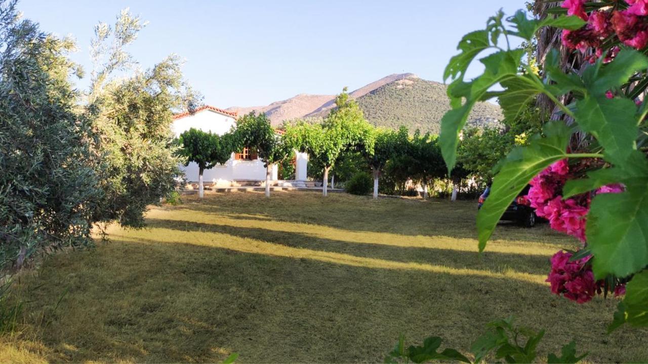 Dyada Home Nέα Στύρα Εξωτερικό φωτογραφία