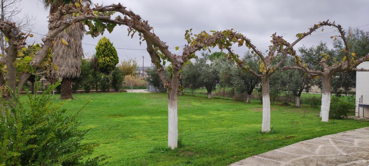 Dyada Home Nέα Στύρα Εξωτερικό φωτογραφία