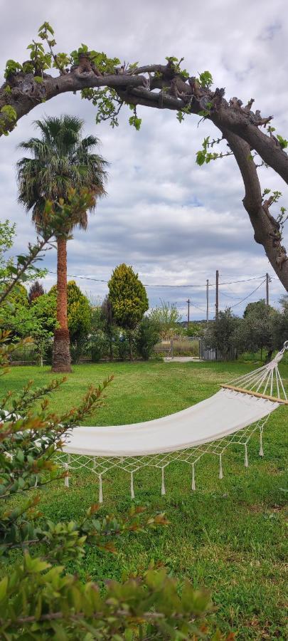 Dyada Home Nέα Στύρα Εξωτερικό φωτογραφία