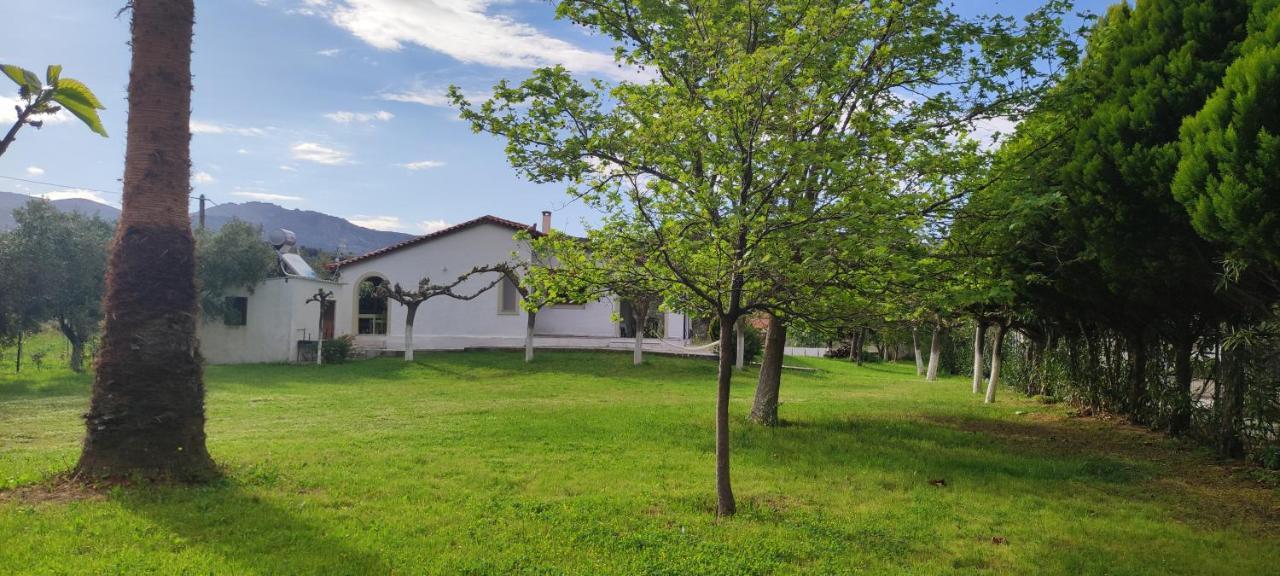 Dyada Home Nέα Στύρα Εξωτερικό φωτογραφία